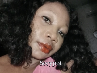 Secypot