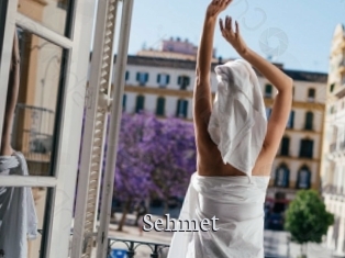 Sehmet