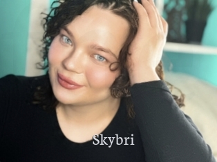 Skybri