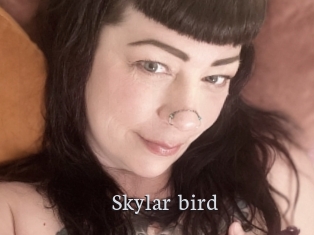 Skylar_bird