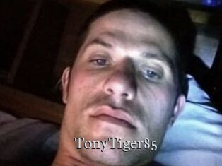 TonyTiger85