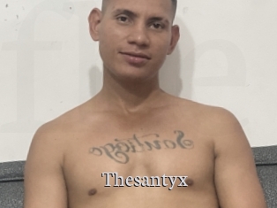 Thesantyx