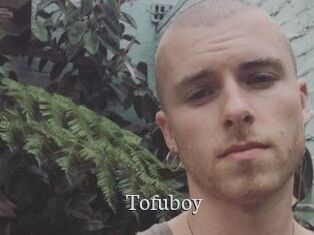 Tofu_boy