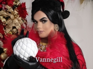 Vannegill