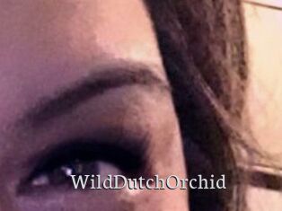 WildDutchOrchid