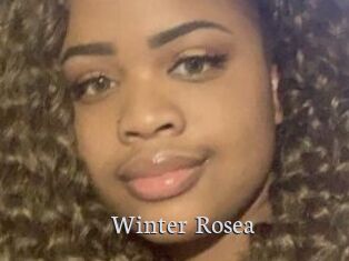 Winter_Rosea