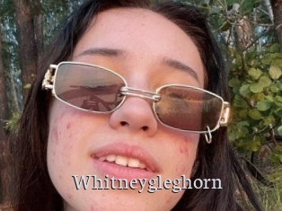 Whitneygleghorn