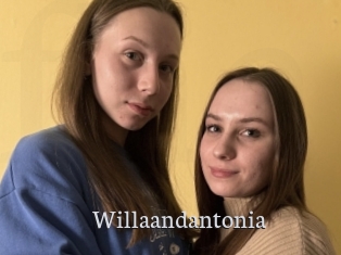 Willaandantonia