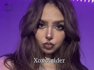 Xoxospider