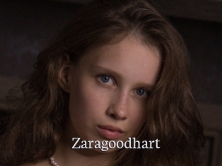 Zaragoodhart